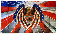 American Eagle Harley Davidson Flag